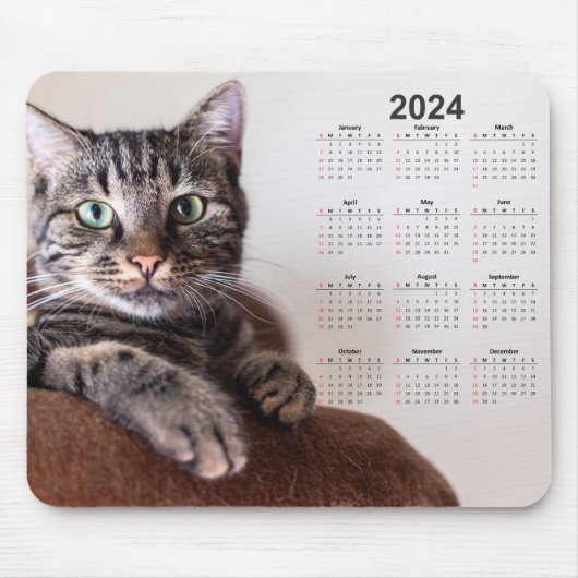 Beautiful Cat Resting 2024カレンダー マウスパッド (正面)