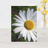 Beautiful Daisy カード (黄色い花)