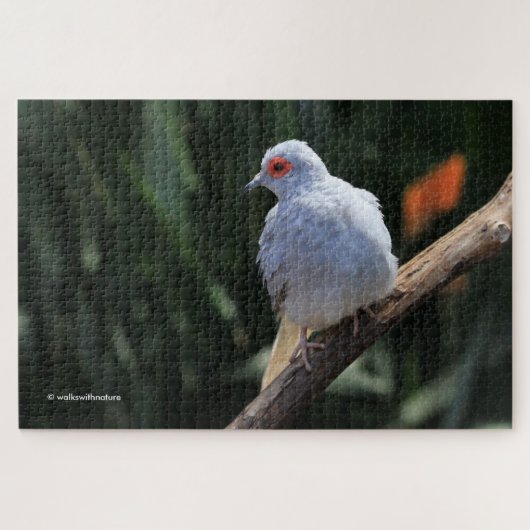 Beautiful Diamond Dove in the Spotlight ジグソーパズル (横)