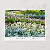 Beautiful Flower Beds ポストカード (正面)
