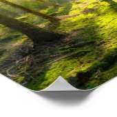 Beautiful Forest Light ポスター (角)
