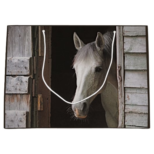 Beautiful Gray Mare Horse ラージペーパーバッグ (正面)