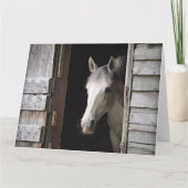 Beautiful Gray Mare Horse Rustic Ranch カード (正面)