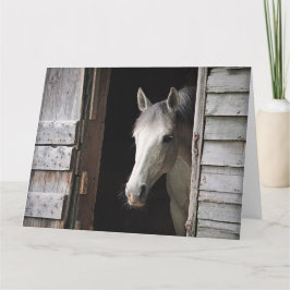 Beautiful Gray Mare Horse Rustic Ranch カード
