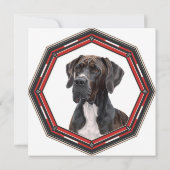 Beautiful Great Dane In A Frame 招待状 (裏面)