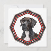 Beautiful Great Dane In A Frame 招待状 (正面)