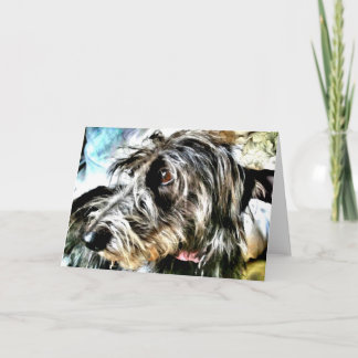 Beautiful grey lurcher カード