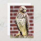 Beautiful Hawkノートカードプリント (正面/裏面)