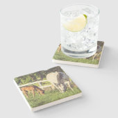 Beautiful Horse and Foal Green Pasture ストーンコースター (横)