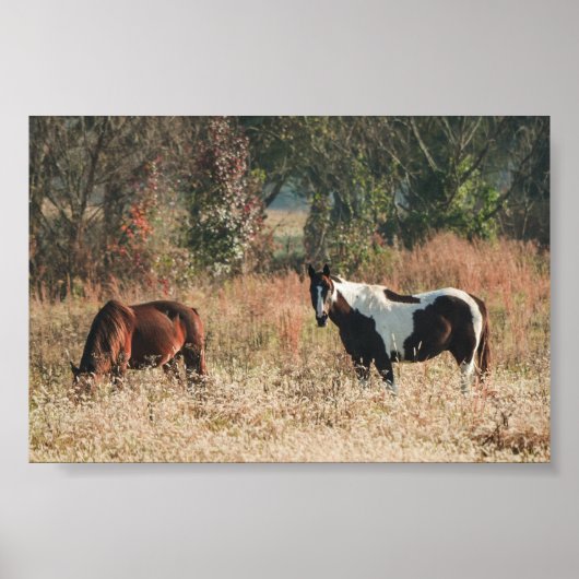 Beautiful HORSEs Fall Archival Poster Print ポスター (正面)