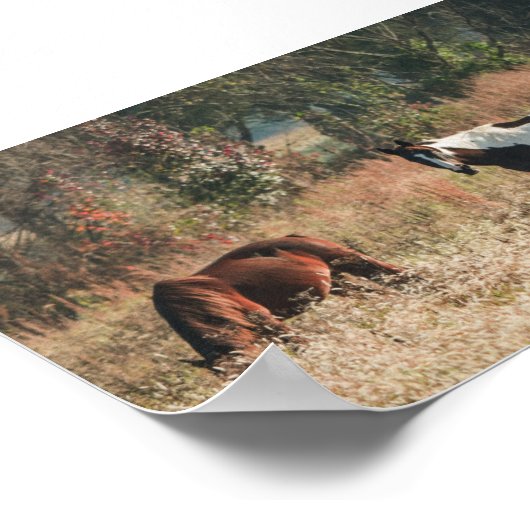 Beautiful HORSEs Fall Archival Poster Print ポスター (角)