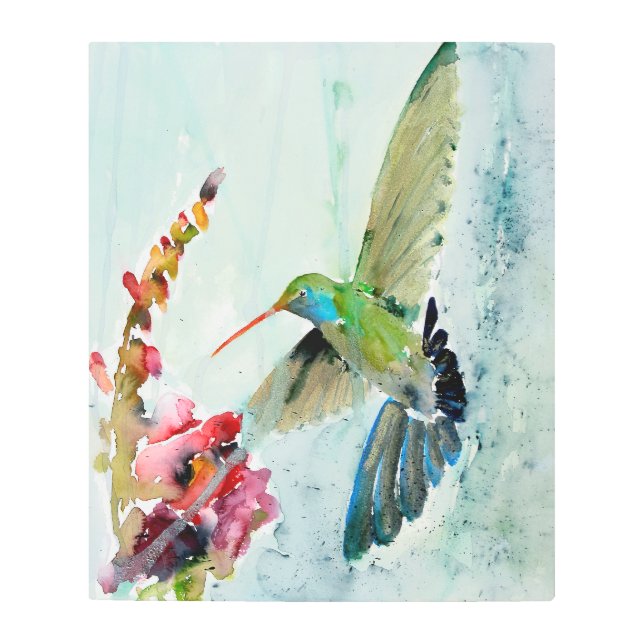 Beautiful Hummingbird Metal Wall Art メタルプリント (正面)