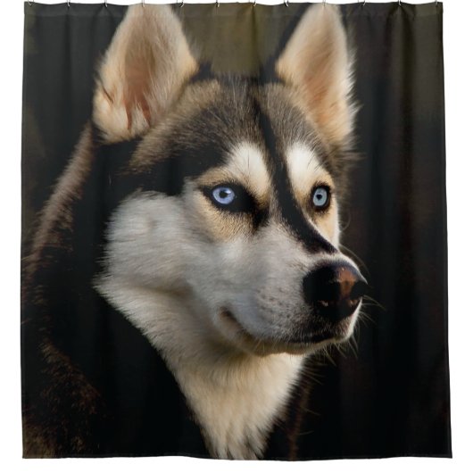 Beautiful Husky Throw Pillow シャワーカーテン (正面)