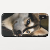 Beautiful Husky Throw Pillow Case-Mate iPhoneケース (裏面(横))