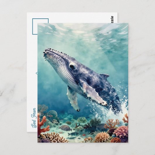 Beautiful Impasto Whale Oceanic Keep in Touch ポストカード (正面/裏面)