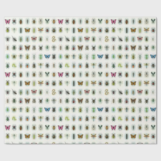 Beautiful insect collection watercolor style bugs  ラッピングペーパー (フラット)