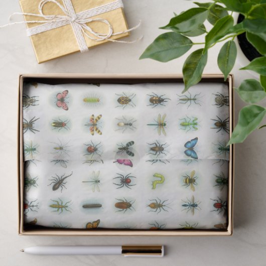 Beautiful insect collection watercolor style bugs  薄葉紙 (ギフト)