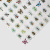 Beautiful insect collection watercolor style bugs  薄葉紙 (詳細)
