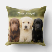 Beautiful Labrador Trio Puppy Personalized クッション (正面)