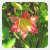 Beautiful Lily スクエアシール (正面)