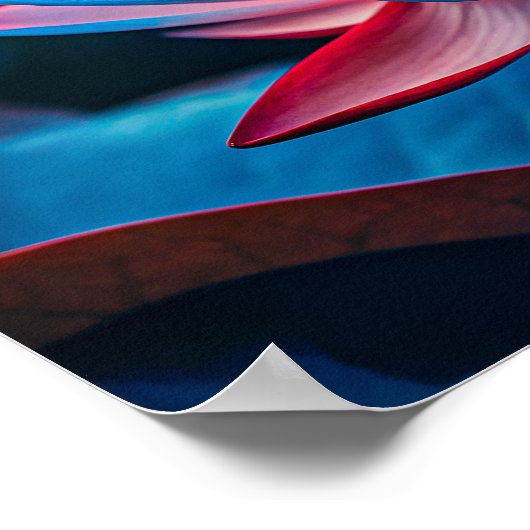 Beautiful Lotus Flower ポスター (角)