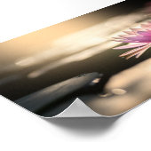 Beautiful Lotus,Lake,Zen ポスター (角)