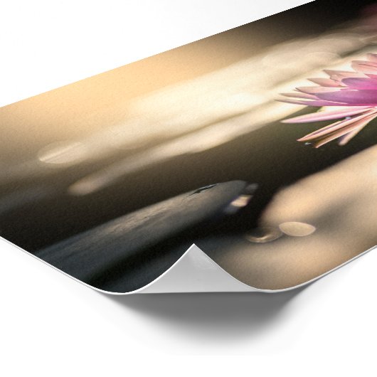 Beautiful Lotus,Lake,Zen ポスター (角)