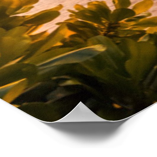 Beautiful Maldives Beach Sunset ポスター (角)