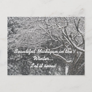Beautiful Michigan in the Winter...Let it Snow! シーズンポストカード