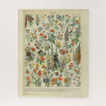 Beautiful Millot Fleur Illistration Print