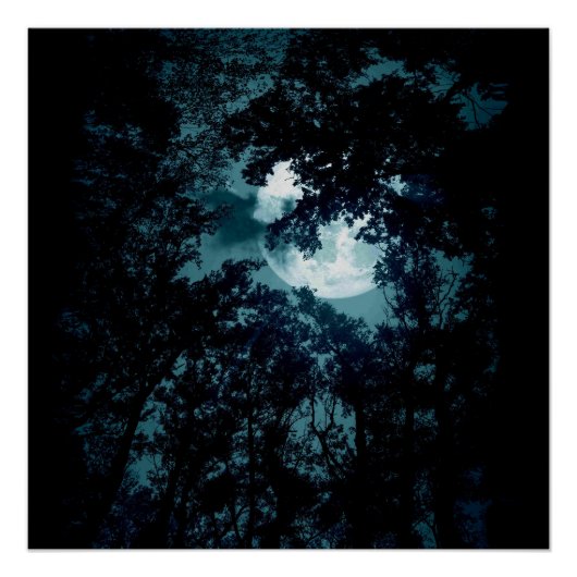 Beautiful Moon Glow Though Trees ポスター (正面)