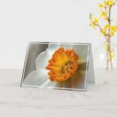 Beautiful Narcissus Bloom Macro カード (黄色い花)