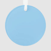 Beautiful Native American Woman Indigenous Outfit オーナメント (裏面)