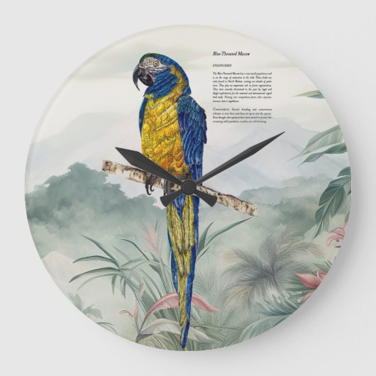 Beautiful nature inspired Endangered Macaw ラージ壁時計 (正面)