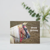 Beautiful Palomino Horse Photo Birthday ポストカード (スタンド正面)