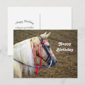 Beautiful Palomino Horse Photo Birthday ポストカード (正面/裏面)