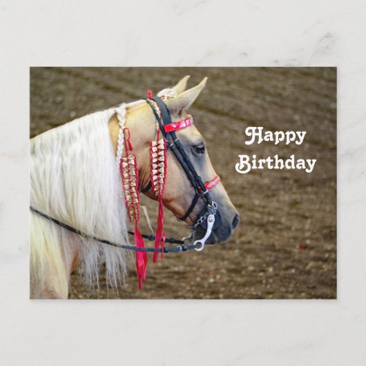 Beautiful Palomino Horse Photo Birthday ポストカード (正面)
