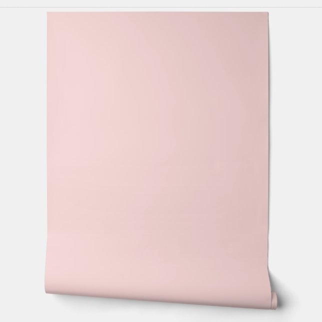 beautiful peach solid color  壁紙 (ほどく)