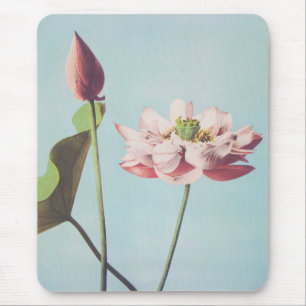 Beautiful photomechanical prints of Lotus Flowers マウスパッド