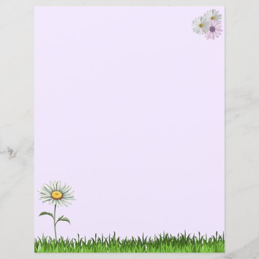 Beautiful Pink and White Daisies 8.5 x 11 (裏面)