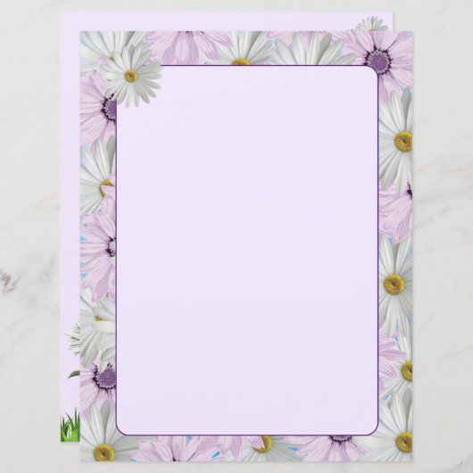 Beautiful Pink and White Daisies 8.5 x 11 (正面/裏面)