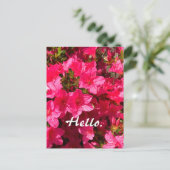 Beautiful Pink Azaleas Flowers Hello Postcards 2 ポストカード (スタンド正面)