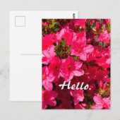 Beautiful Pink Azaleas Flowers Hello Postcards 2 ポストカード (正面/裏面)