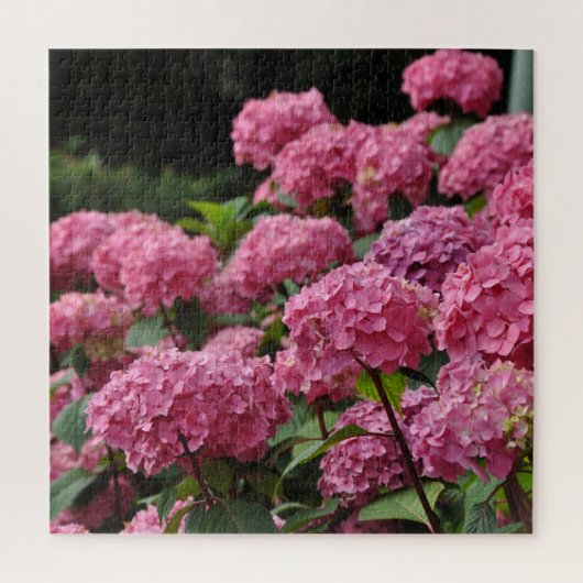 Beautiful pink hydrangea flowers ジグソーパズル (縦)