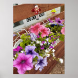 Beautiful Pink Petunia Fairy Flower Garden Poster ポスター<br><div class="desc">Beautiful Petunia Flower Garden Poster. A glorious poster to compliment any decor,  taken from my own garden.</div>