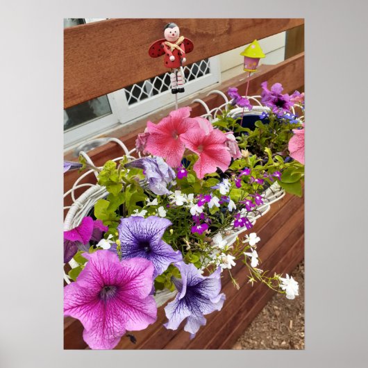 Beautiful Pink Petunia Fairy Flower Garden Poster ポスター (正面)