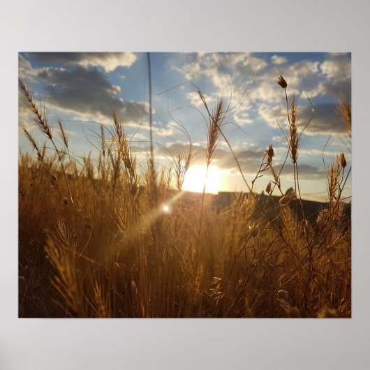 Beautiful Poster of a Sunset over a Wheat Filed ポスター (正面)
