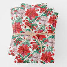 Beautiful red and white Christmas poinsettia