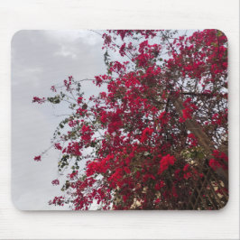 Beautiful red Bougainvillea Flowers & Cloudy Sky  マウスパッド