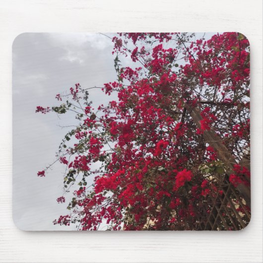 Beautiful red Bougainvillea Flowers & Cloudy Sky  マウスパッド (正面)